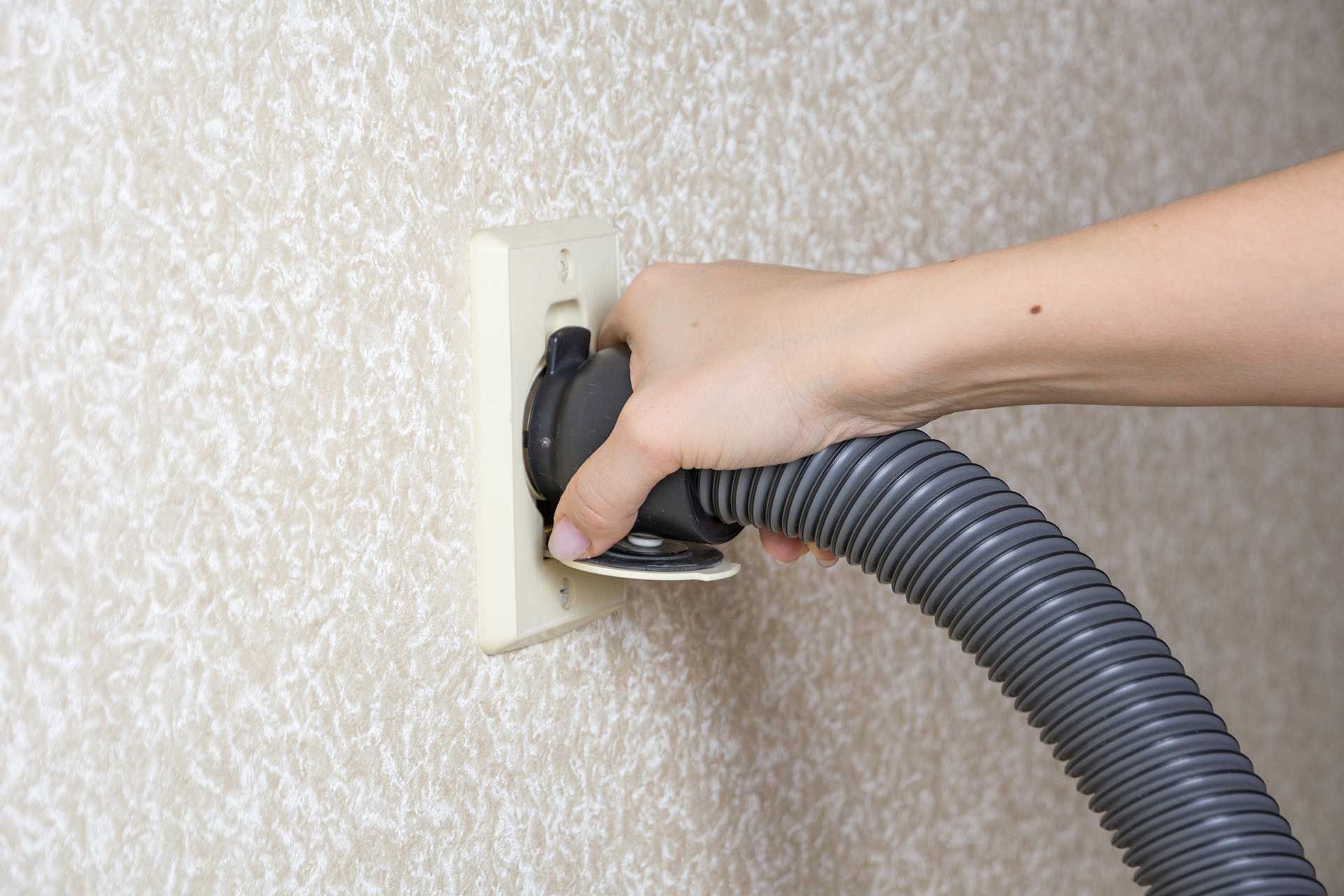 Expert surveying damp inside a property